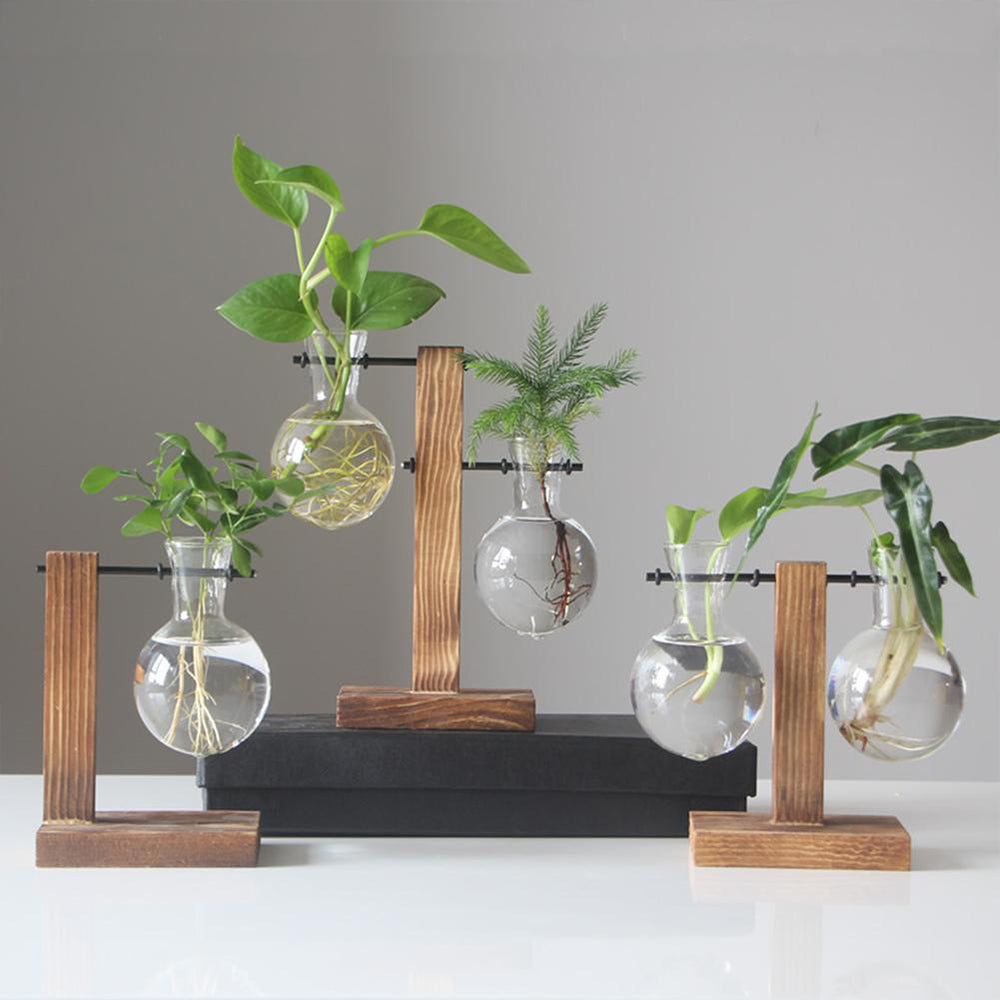 Modern Wooden & Glass Plant Holder