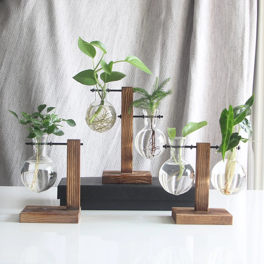 Modern Wooden & Glass Plant Holder