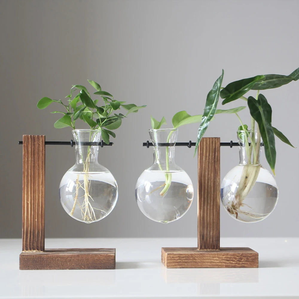 Modern Wooden & Glass Plant Holder