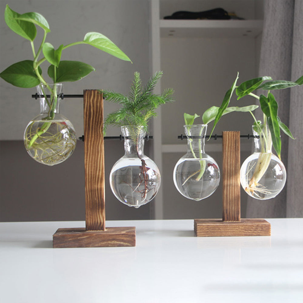 Modern Wooden & Glass Plant Holder