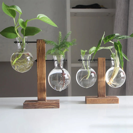 Modern Wooden & Glass Plant Holder